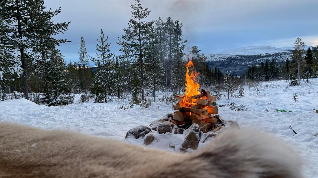 Mountain Cabin Lofsdalen Exterior photo